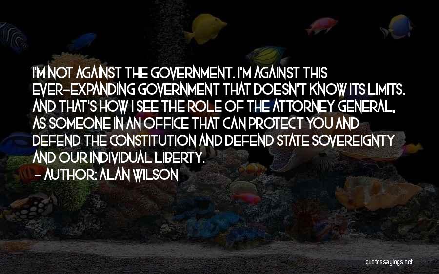 Alan Wilson Quotes: I'm Not Against The Government. I'm Against This Ever-expanding Government That Doesn't Know Its Limits. And That's How I See