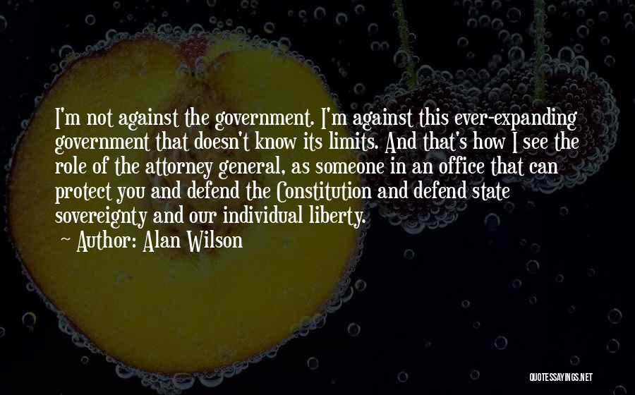 Alan Wilson Quotes: I'm Not Against The Government. I'm Against This Ever-expanding Government That Doesn't Know Its Limits. And That's How I See