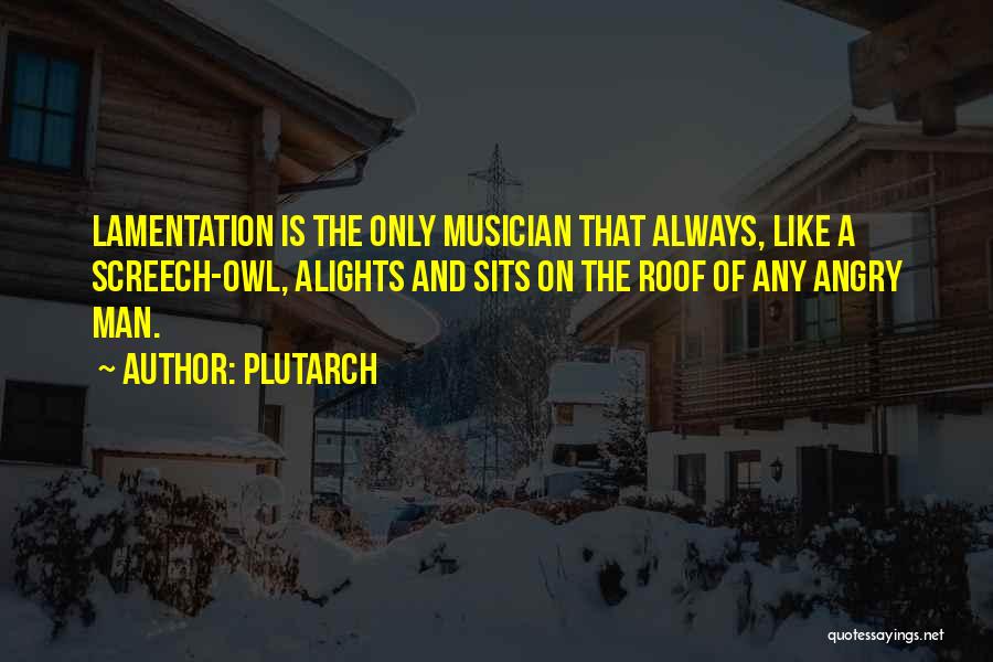 Plutarch Quotes: Lamentation Is The Only Musician That Always, Like A Screech-owl, Alights And Sits On The Roof Of Any Angry Man.