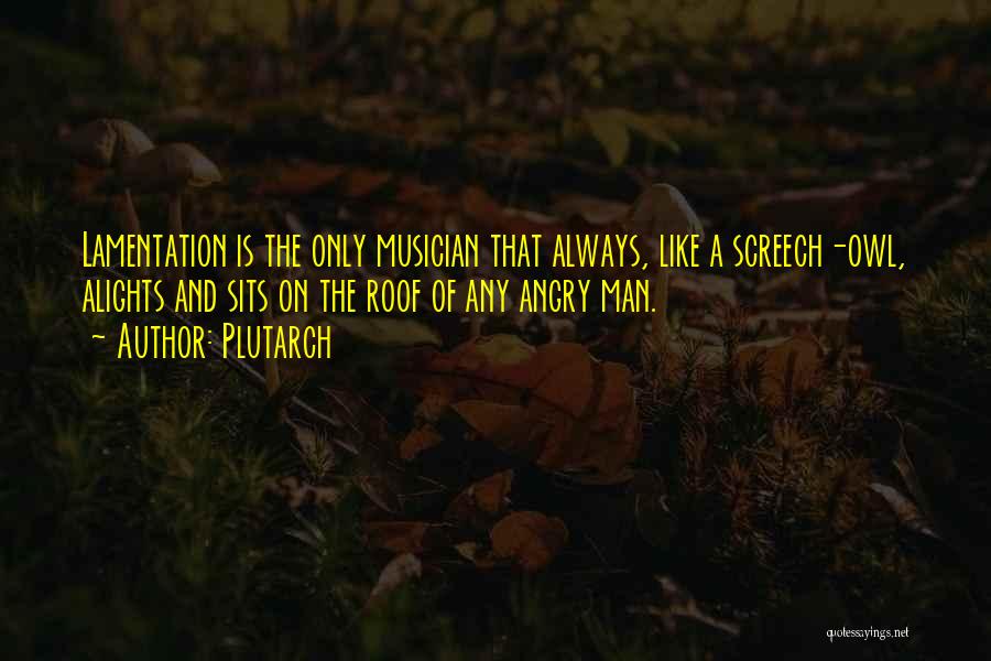 Plutarch Quotes: Lamentation Is The Only Musician That Always, Like A Screech-owl, Alights And Sits On The Roof Of Any Angry Man.