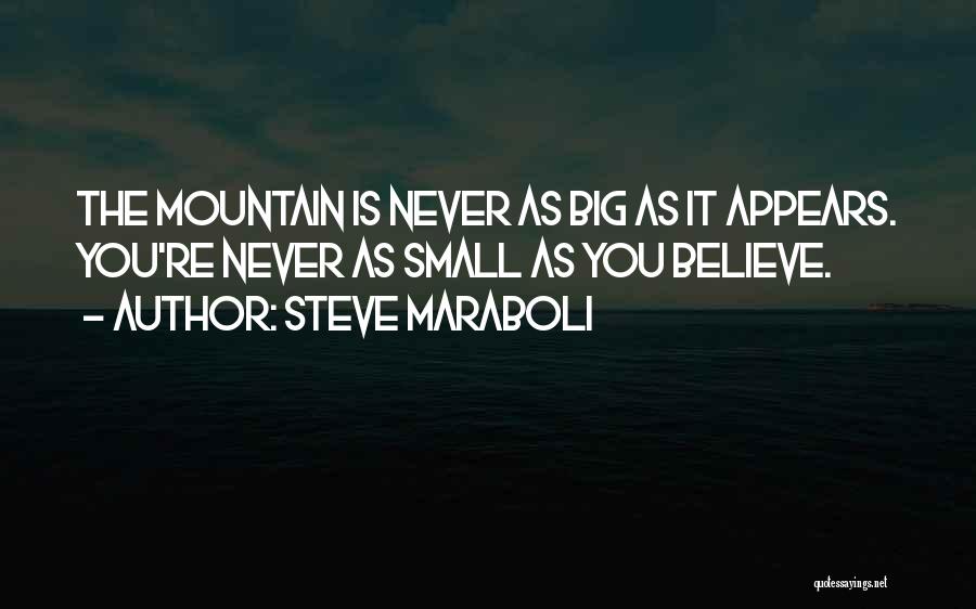 Steve Maraboli Quotes: The Mountain Is Never As Big As It Appears. You're Never As Small As You Believe.