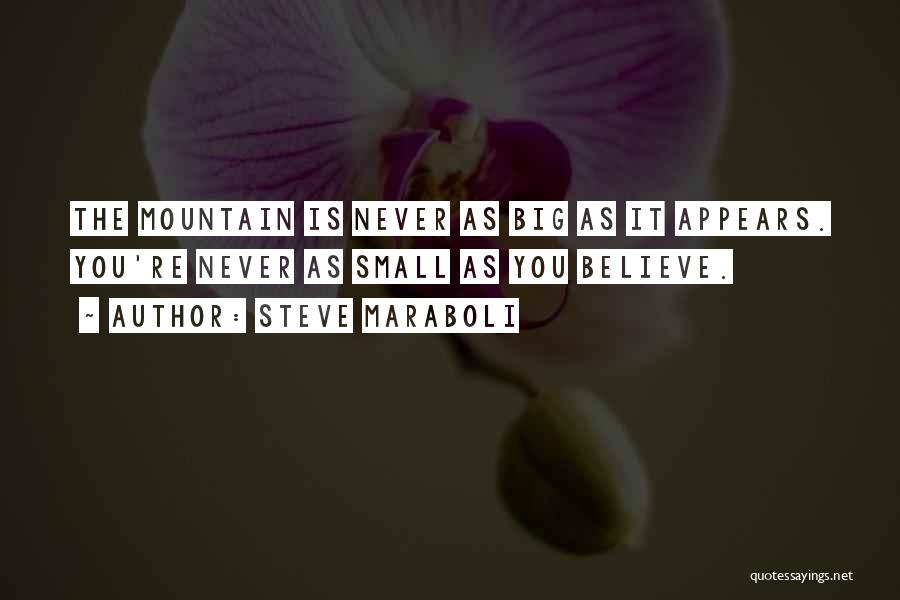 Steve Maraboli Quotes: The Mountain Is Never As Big As It Appears. You're Never As Small As You Believe.