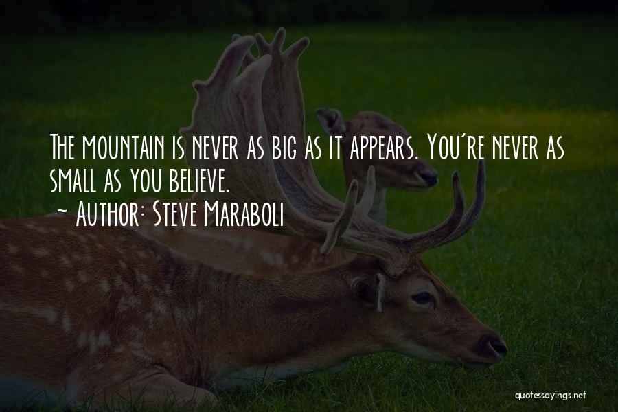 Steve Maraboli Quotes: The Mountain Is Never As Big As It Appears. You're Never As Small As You Believe.