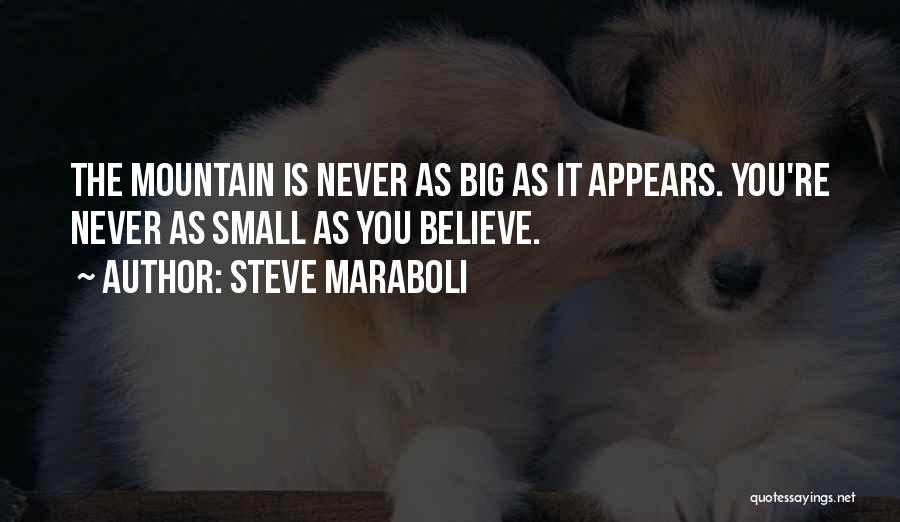 Steve Maraboli Quotes: The Mountain Is Never As Big As It Appears. You're Never As Small As You Believe.