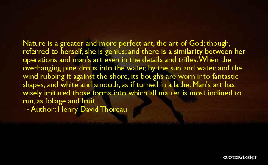 Henry David Thoreau Quotes: Nature Is A Greater And More Perfect Art, The Art Of God; Though, Referred To Herself, She Is Genius; And