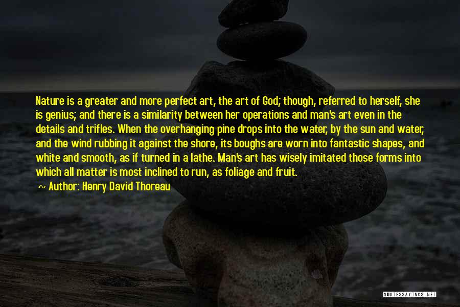 Henry David Thoreau Quotes: Nature Is A Greater And More Perfect Art, The Art Of God; Though, Referred To Herself, She Is Genius; And