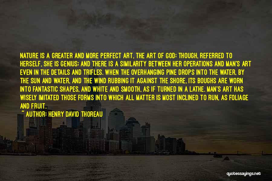 Henry David Thoreau Quotes: Nature Is A Greater And More Perfect Art, The Art Of God; Though, Referred To Herself, She Is Genius; And