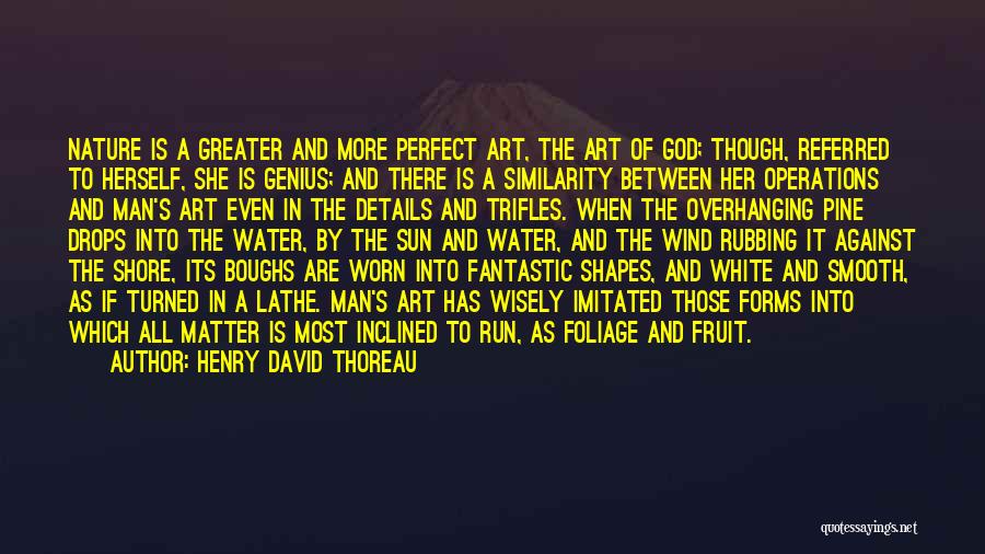 Henry David Thoreau Quotes: Nature Is A Greater And More Perfect Art, The Art Of God; Though, Referred To Herself, She Is Genius; And