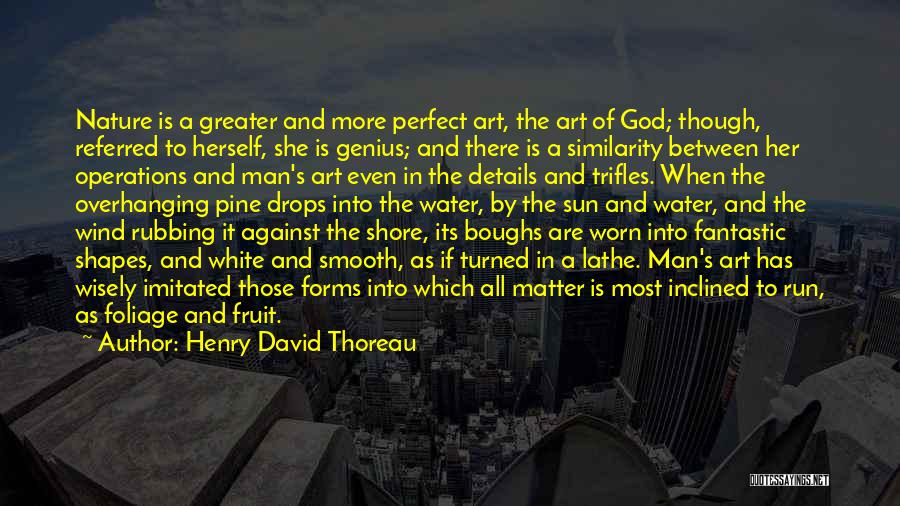 Henry David Thoreau Quotes: Nature Is A Greater And More Perfect Art, The Art Of God; Though, Referred To Herself, She Is Genius; And