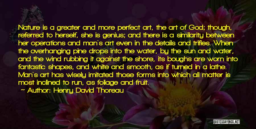 Henry David Thoreau Quotes: Nature Is A Greater And More Perfect Art, The Art Of God; Though, Referred To Herself, She Is Genius; And