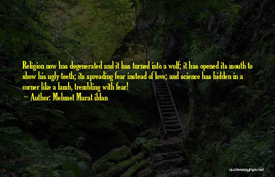Mehmet Murat Ildan Quotes: Religion Now Has Degenerated And It Has Turned Into A Wolf; It Has Opened Its Mouth To Show His Ugly