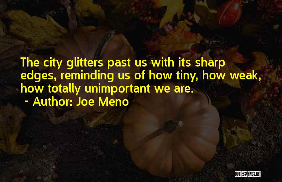 Joe Meno Quotes: The City Glitters Past Us With Its Sharp Edges, Reminding Us Of How Tiny, How Weak, How Totally Unimportant We