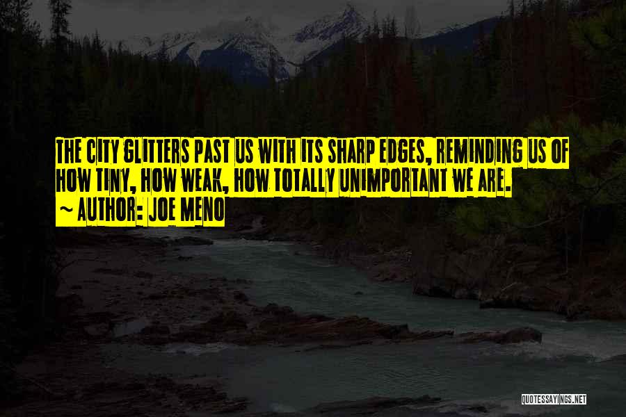 Joe Meno Quotes: The City Glitters Past Us With Its Sharp Edges, Reminding Us Of How Tiny, How Weak, How Totally Unimportant We