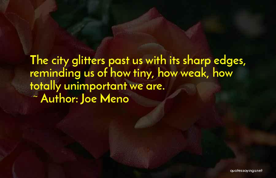 Joe Meno Quotes: The City Glitters Past Us With Its Sharp Edges, Reminding Us Of How Tiny, How Weak, How Totally Unimportant We