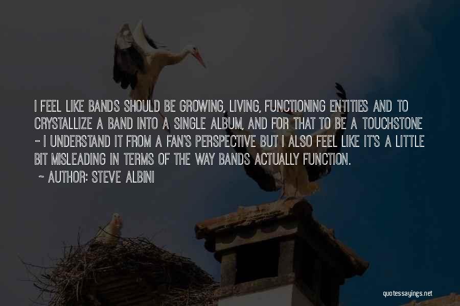Steve Albini Quotes: I Feel Like Bands Should Be Growing, Living, Functioning Entities And To Crystallize A Band Into A Single Album, And