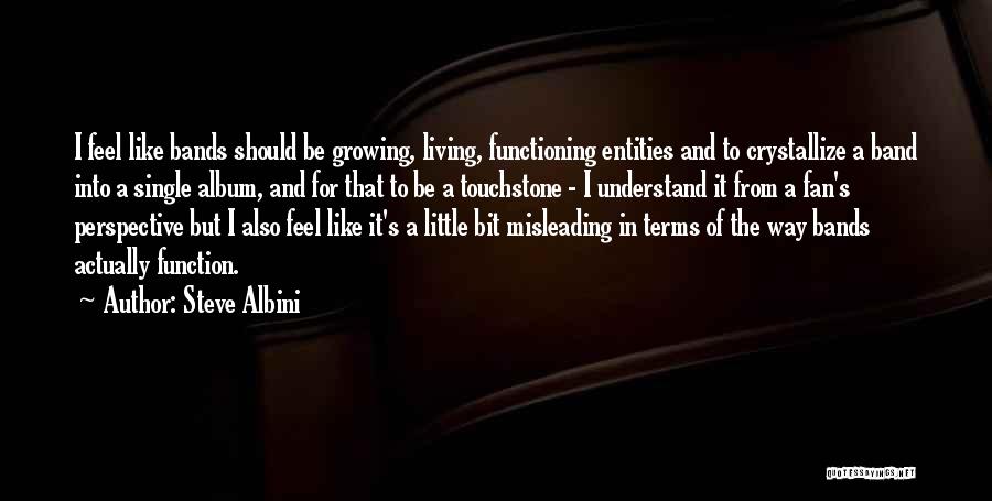 Steve Albini Quotes: I Feel Like Bands Should Be Growing, Living, Functioning Entities And To Crystallize A Band Into A Single Album, And