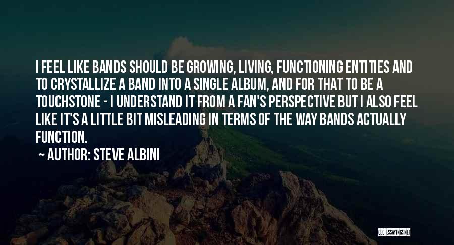 Steve Albini Quotes: I Feel Like Bands Should Be Growing, Living, Functioning Entities And To Crystallize A Band Into A Single Album, And
