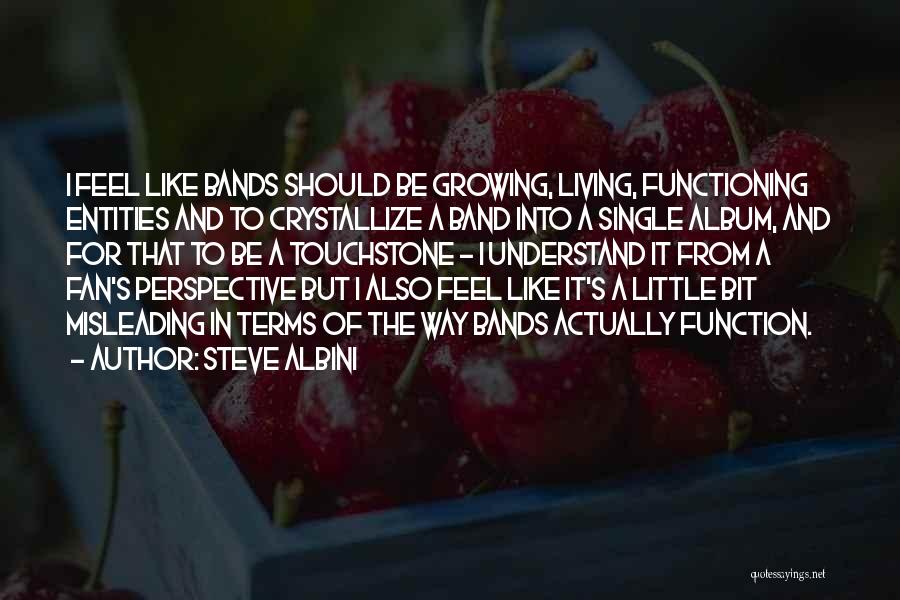 Steve Albini Quotes: I Feel Like Bands Should Be Growing, Living, Functioning Entities And To Crystallize A Band Into A Single Album, And