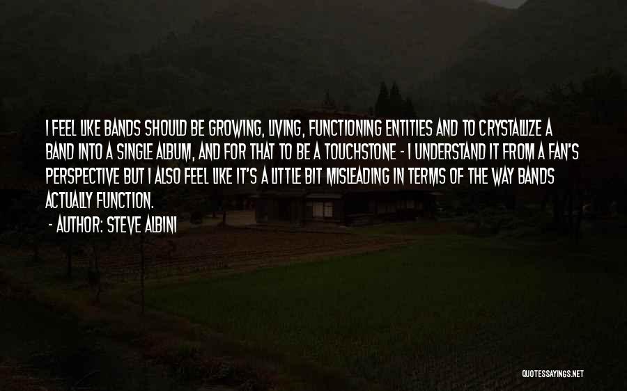 Steve Albini Quotes: I Feel Like Bands Should Be Growing, Living, Functioning Entities And To Crystallize A Band Into A Single Album, And