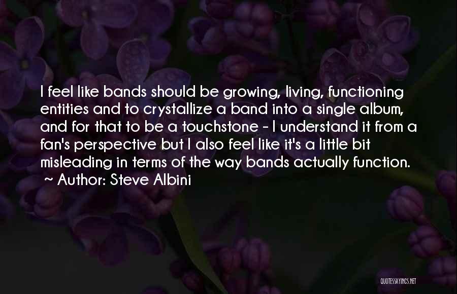 Steve Albini Quotes: I Feel Like Bands Should Be Growing, Living, Functioning Entities And To Crystallize A Band Into A Single Album, And