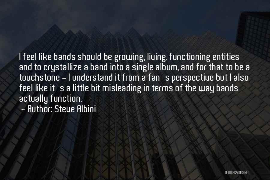 Steve Albini Quotes: I Feel Like Bands Should Be Growing, Living, Functioning Entities And To Crystallize A Band Into A Single Album, And