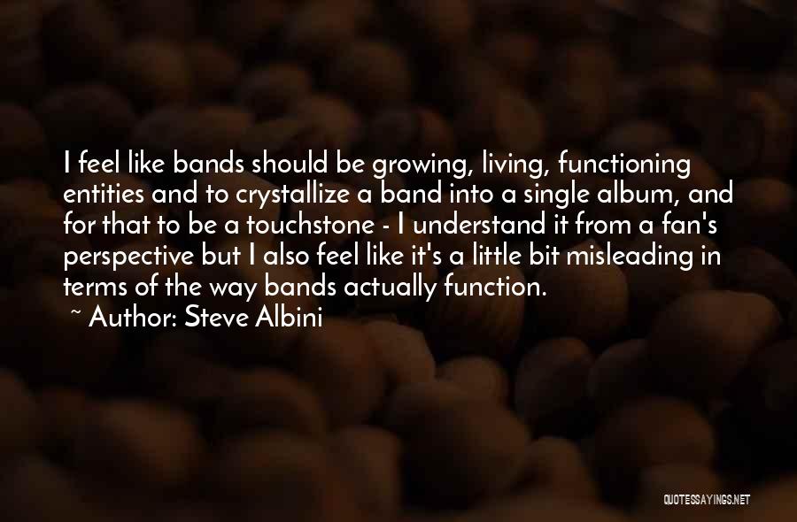 Steve Albini Quotes: I Feel Like Bands Should Be Growing, Living, Functioning Entities And To Crystallize A Band Into A Single Album, And