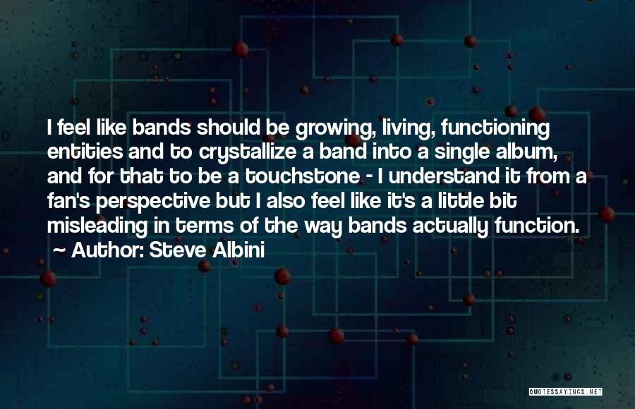 Steve Albini Quotes: I Feel Like Bands Should Be Growing, Living, Functioning Entities And To Crystallize A Band Into A Single Album, And
