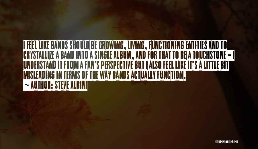 Steve Albini Quotes: I Feel Like Bands Should Be Growing, Living, Functioning Entities And To Crystallize A Band Into A Single Album, And
