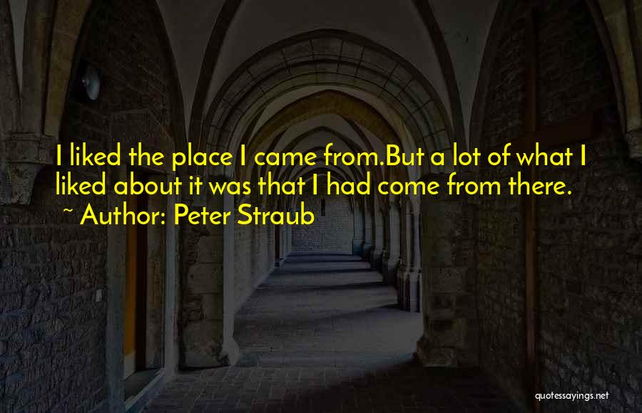 Peter Straub Quotes: I Liked The Place I Came From.but A Lot Of What I Liked About It Was That I Had Come