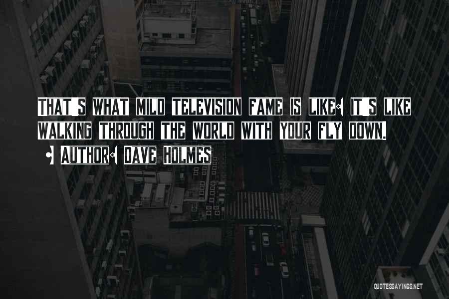 Dave Holmes Quotes: That's What Mild Television Fame Is Like: It's Like Walking Through The World With Your Fly Down.