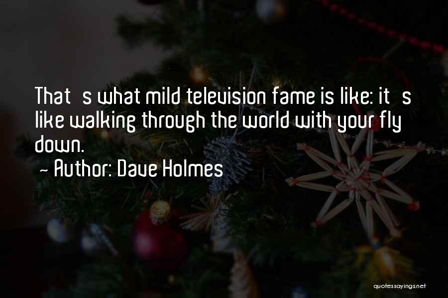 Dave Holmes Quotes: That's What Mild Television Fame Is Like: It's Like Walking Through The World With Your Fly Down.