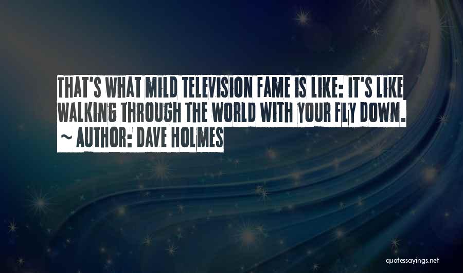 Dave Holmes Quotes: That's What Mild Television Fame Is Like: It's Like Walking Through The World With Your Fly Down.