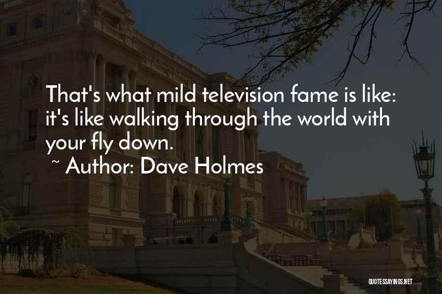 Dave Holmes Quotes: That's What Mild Television Fame Is Like: It's Like Walking Through The World With Your Fly Down.
