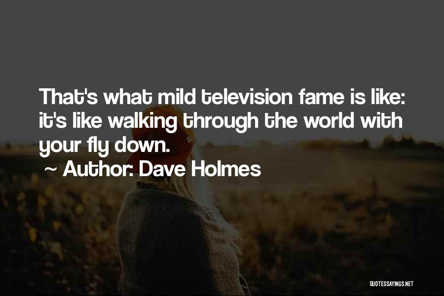 Dave Holmes Quotes: That's What Mild Television Fame Is Like: It's Like Walking Through The World With Your Fly Down.