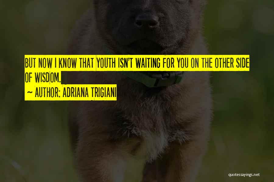 Adriana Trigiani Quotes: But Now I Know That Youth Isn't Waiting For You On The Other Side Of Wisdom.
