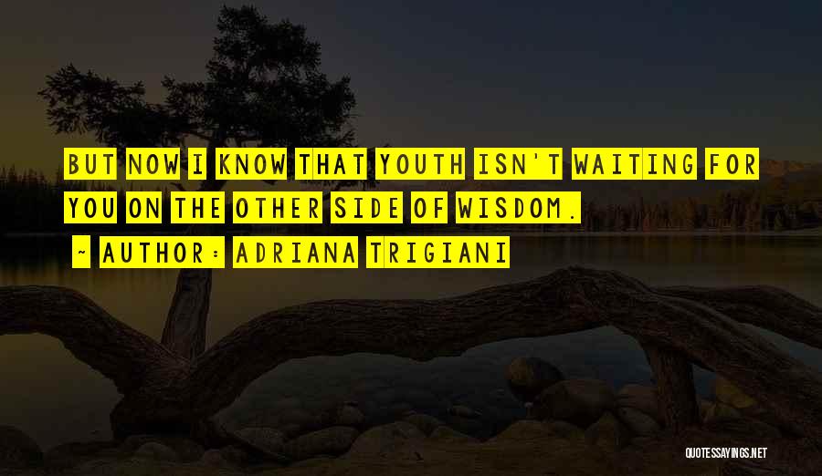 Adriana Trigiani Quotes: But Now I Know That Youth Isn't Waiting For You On The Other Side Of Wisdom.
