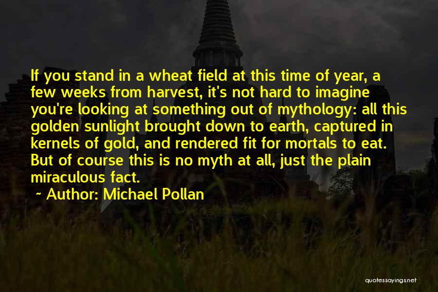 Michael Pollan Quotes: If You Stand In A Wheat Field At This Time Of Year, A Few Weeks From Harvest, It's Not Hard