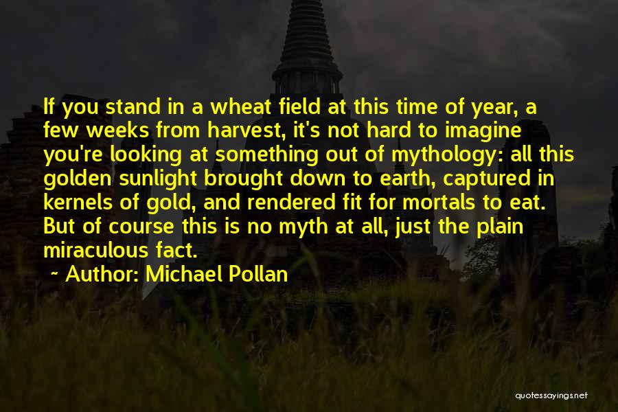 Michael Pollan Quotes: If You Stand In A Wheat Field At This Time Of Year, A Few Weeks From Harvest, It's Not Hard