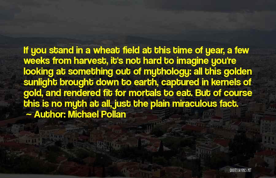 Michael Pollan Quotes: If You Stand In A Wheat Field At This Time Of Year, A Few Weeks From Harvest, It's Not Hard