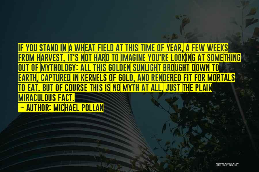 Michael Pollan Quotes: If You Stand In A Wheat Field At This Time Of Year, A Few Weeks From Harvest, It's Not Hard