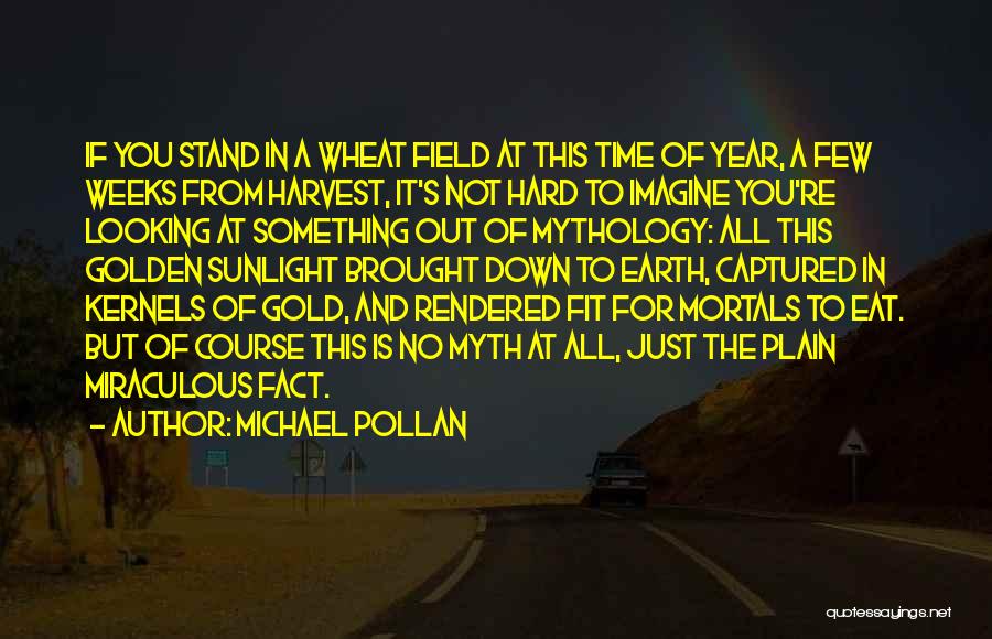 Michael Pollan Quotes: If You Stand In A Wheat Field At This Time Of Year, A Few Weeks From Harvest, It's Not Hard