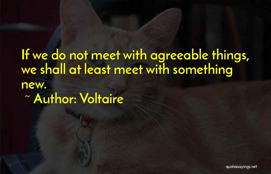 Voltaire Quotes: If We Do Not Meet With Agreeable Things, We Shall At Least Meet With Something New.