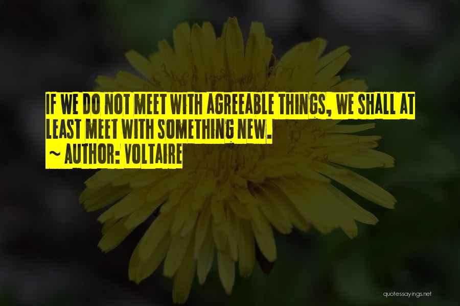 Voltaire Quotes: If We Do Not Meet With Agreeable Things, We Shall At Least Meet With Something New.