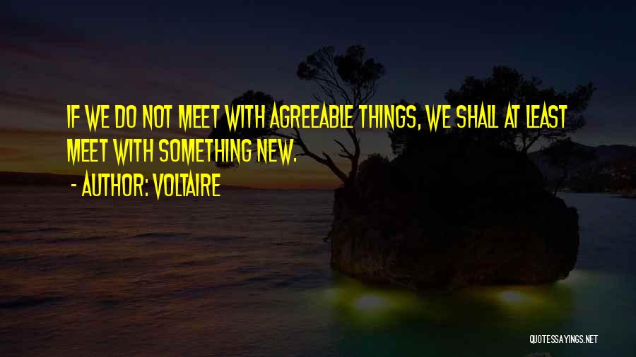 Voltaire Quotes: If We Do Not Meet With Agreeable Things, We Shall At Least Meet With Something New.