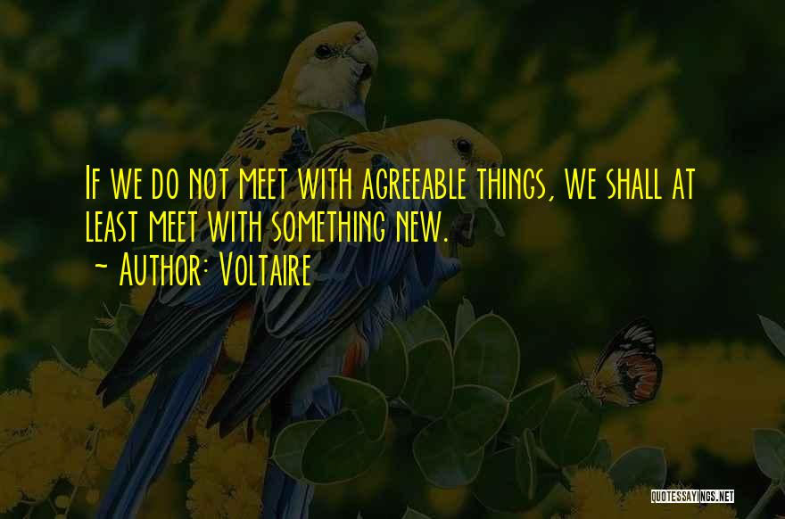 Voltaire Quotes: If We Do Not Meet With Agreeable Things, We Shall At Least Meet With Something New.