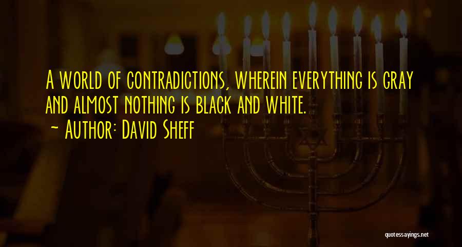 David Sheff Quotes: A World Of Contradictions, Wherein Everything Is Gray And Almost Nothing Is Black And White.