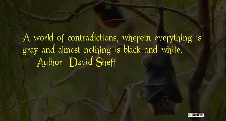 David Sheff Quotes: A World Of Contradictions, Wherein Everything Is Gray And Almost Nothing Is Black And White.