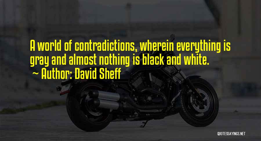 David Sheff Quotes: A World Of Contradictions, Wherein Everything Is Gray And Almost Nothing Is Black And White.