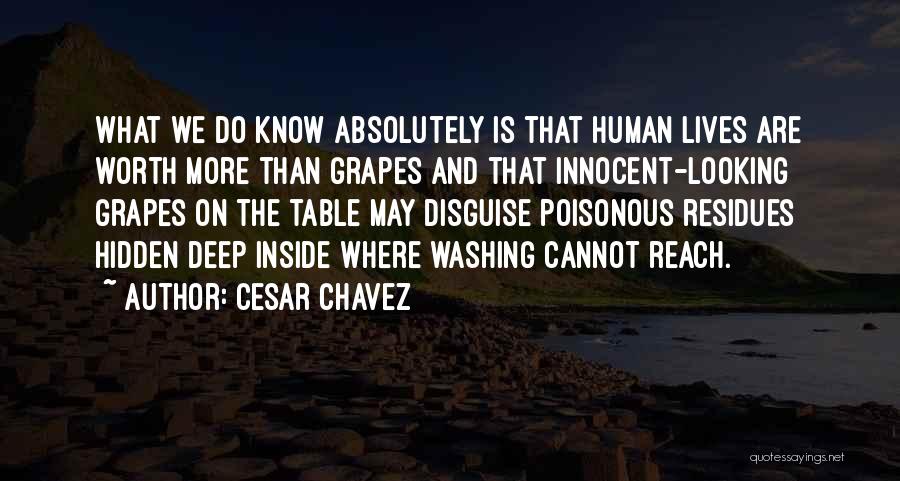 Cesar Chavez Quotes: What We Do Know Absolutely Is That Human Lives Are Worth More Than Grapes And That Innocent-looking Grapes On The