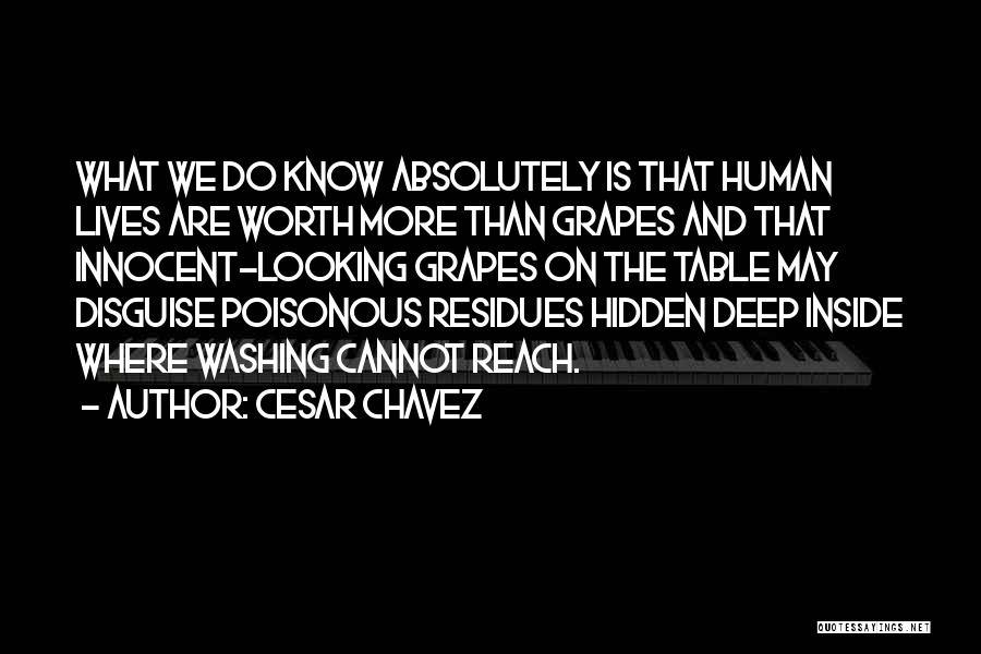 Cesar Chavez Quotes: What We Do Know Absolutely Is That Human Lives Are Worth More Than Grapes And That Innocent-looking Grapes On The